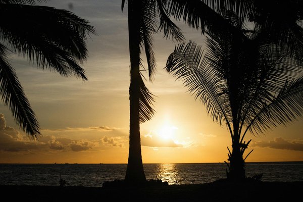 Lyon à vélo électrique : les meilleures options à découvrir