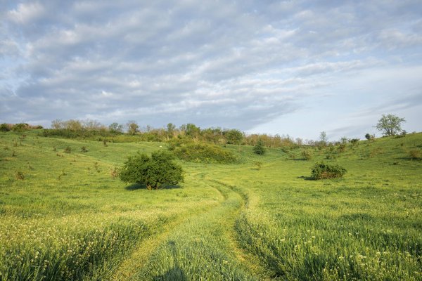 Découvrez le luxe et le confort des services de conciergerie à salon de provence